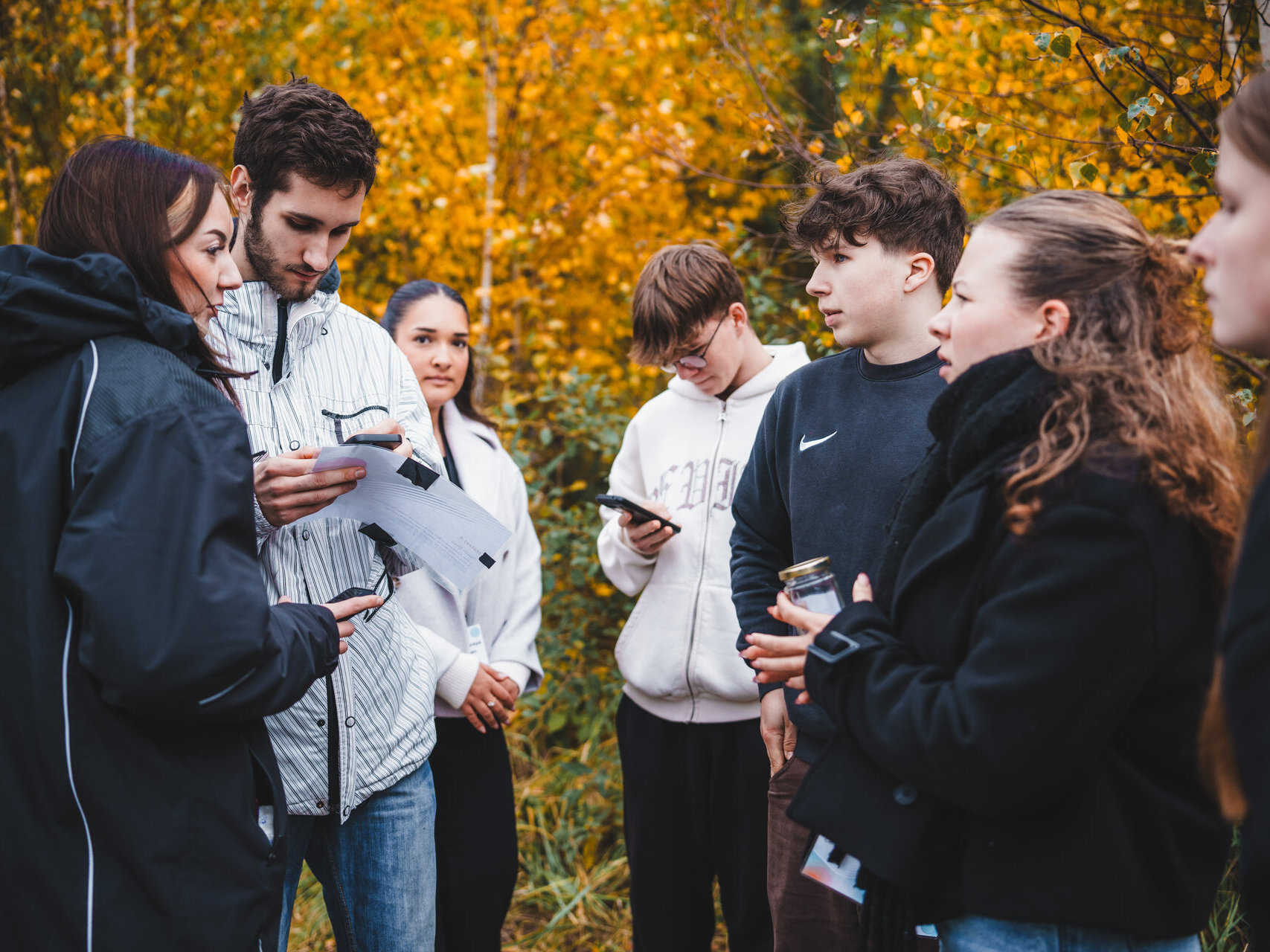 Menschen stehen in einem Wald und nutzen ihre Telefone