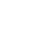 Euro Icon