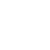 Lenkrad Icon