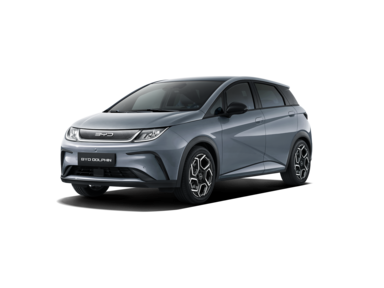BYD Dolphin in grau