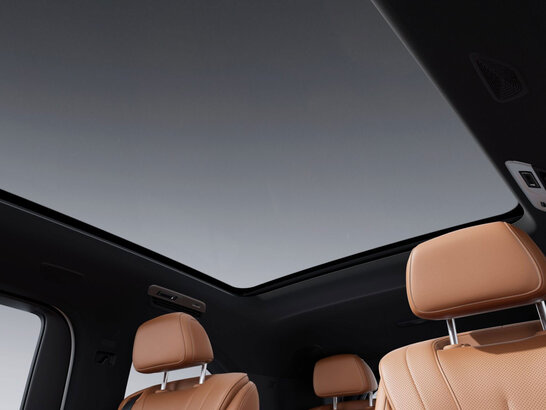 Innenhimmel schwarz im VLE