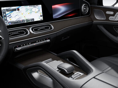 Die Zierelemente in Holz Nussbaum braun offenporig Fishbone Pattern im Mercedes-AMG GLE Coupé