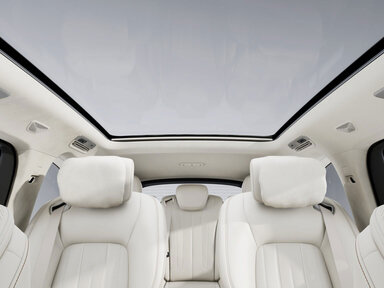 Panoramadach Sky View im VLE