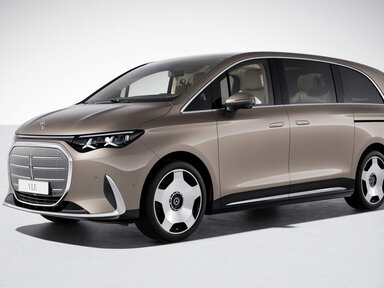 Der VLE in samtbraun metallic