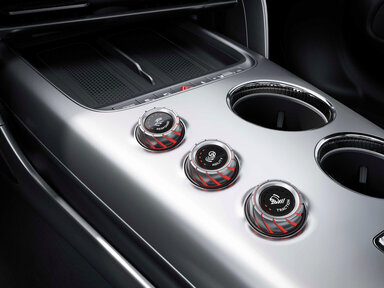 Die AMG RACE ENGINEER Control Unit im Mercedes-AMG GT 4-Türer Coupé