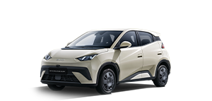 BYD DOLPHIN SURF